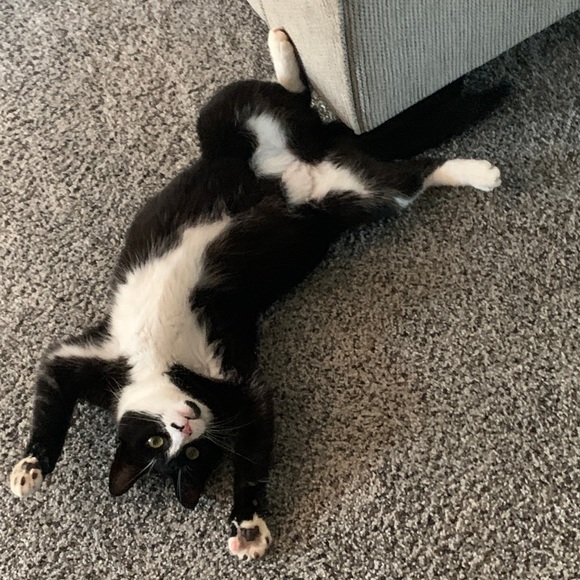 😃Hello there & Welcome...... - Picture 8 of 15